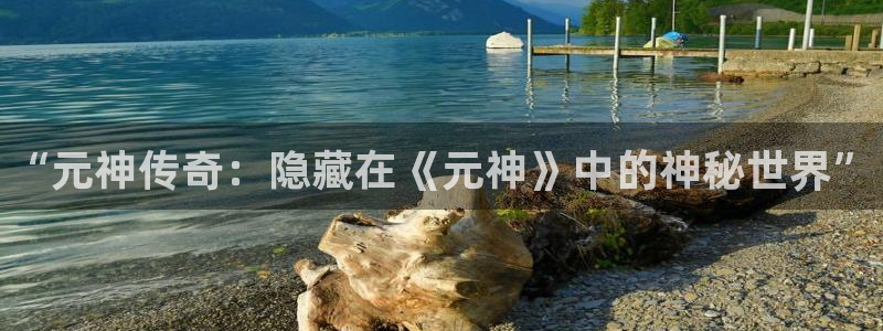 辉达娱乐平台登录入口：“元神传奇：隐藏在《元神》中的神秘世界