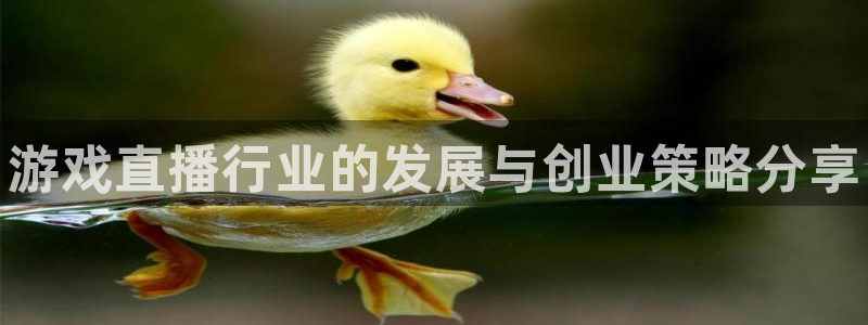辉达娱乐测速：游戏直播行业的发展与创业策略分享