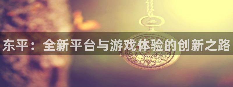 辉达娱乐官网登录：东平：全新平台与游戏体验的创新之路