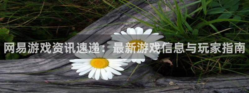 辉达娱乐平台登录线路：网易游戏资讯速递：最新游戏信息与玩家指