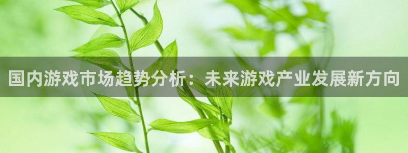 辉达娱乐注册官方登录app：国内游戏市场趋势分析：未来游戏产