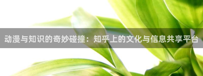 辉达娱乐代理登陆：动漫与知识的奇妙碰撞：知乎上的文化与信息共