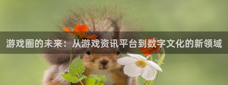 辉达娱乐注册测速：游戏圈的未来：从游戏资讯平台到数字文化的新