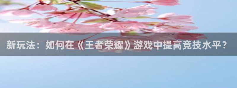 辉达娱乐平台官网入口：新玩法：如何在《王者荣耀》游戏中提高竞