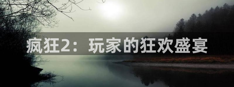 辉达娱乐注册服务条款：疯狂2：玩家的狂欢盛宴