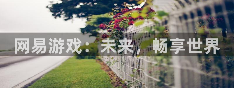 辉达娱乐官网：网易游戏：未来，畅享世界