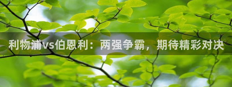 极速nba直播吧在线直播观看：利物浦vs伯恩利：两强争霸，期待精彩对决