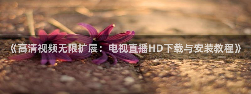 体育直播吧nba：《高清视频无限扩展：电视直播HD下载与安装教程》