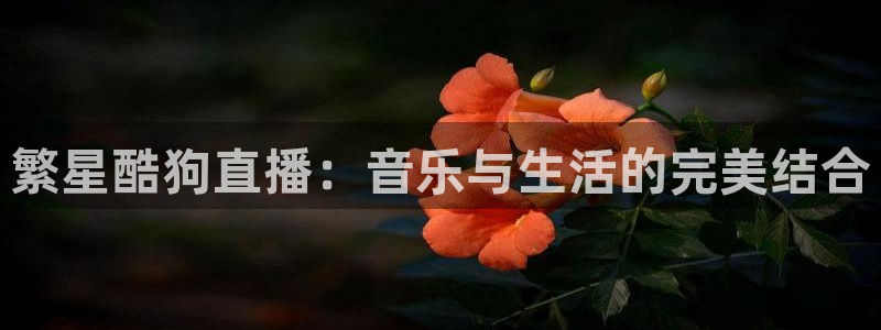 低调看直播吧jrs：繁星酷狗直播：音乐与生活的完美结合
