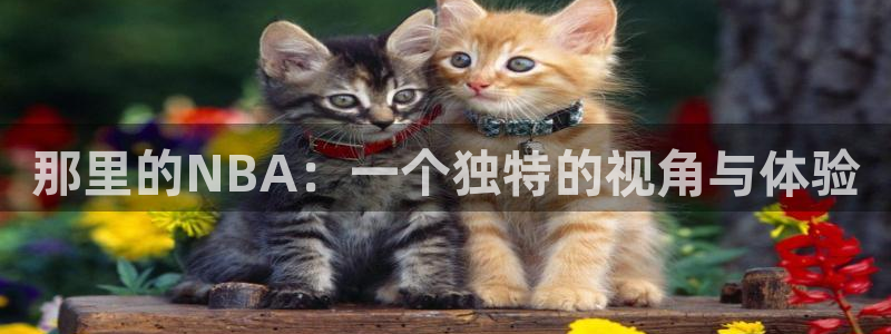 nba极速体育直播吧体育直播jrs：那里的NBA：一个独特的视角与体验