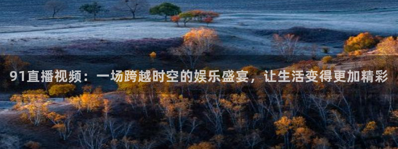 体育足球直播吧：91直播视频：一场跨越时空的娱乐盛宴，让生活变得更加精彩