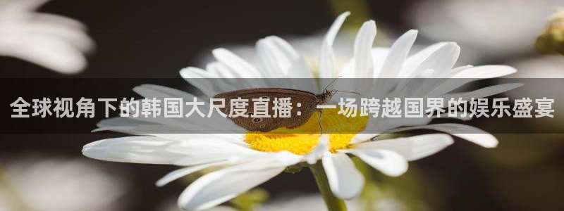 极速直播nba体育直播吧免费观看：全球视角下的韩国大尺度直播：一场跨越国界的娱乐盛宴