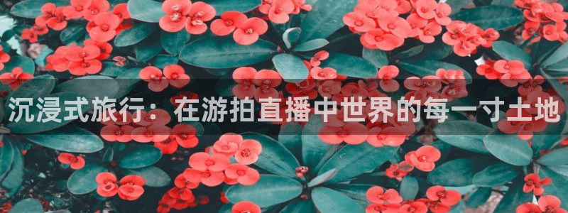 九球直播吧：沉浸式旅行：在游拍直播中世界的每一寸土地