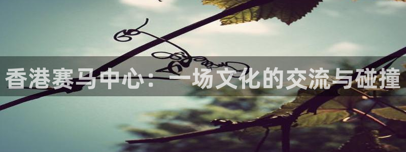 球8直播吧：香港赛马中心：一场文化的交流与碰撞