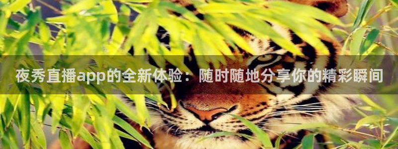 857直播足球直播吧：夜秀直播app的全新体验：随时随地分享你的精彩瞬间