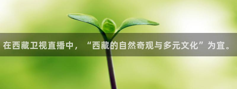 智能直播吧jrs直播：在西藏卫视直播中，“西藏的自然奇观与多元文化”为宜。
