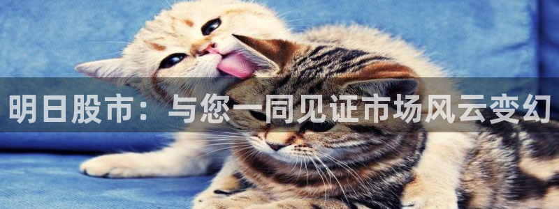 361体育直播吧：明日股市：与您一同见证市场风云变幻