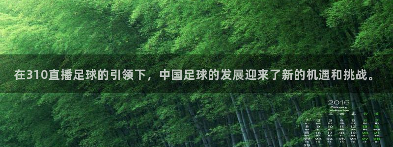 直播吧篮球直播在线观看：在310直播足球的引领下，中国足球的发展迎来了新的机遇和挑战。