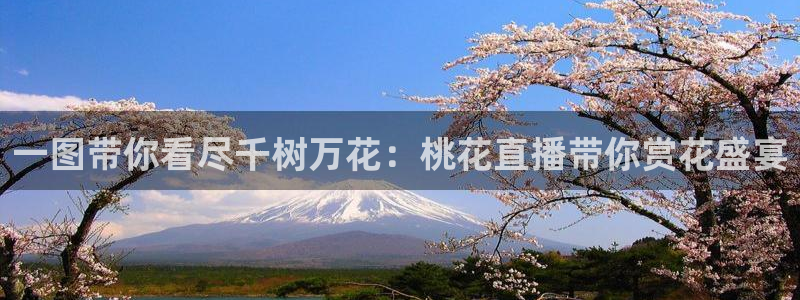 极速体育直播吧免费观看：一图带你看尽千树万花：桃花直播带你赏花盛宴